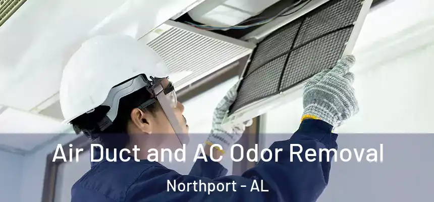  Air Duct and AC Odor Removal Northport - AL