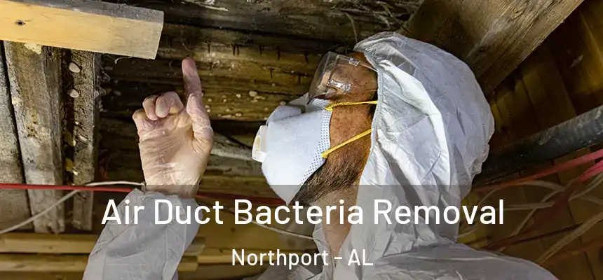  Air Duct Bacteria Removal Northport - AL
