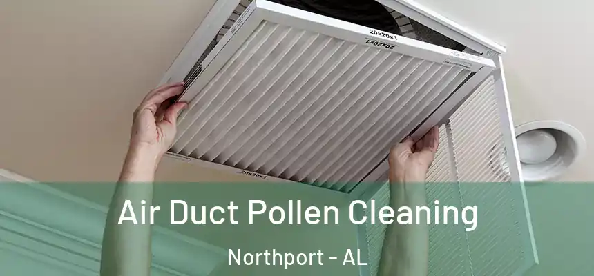  Air Duct Pollen Cleaning Northport - AL