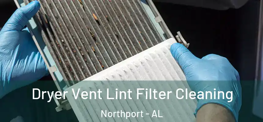  Dryer Vent Lint Filter Cleaning Northport - AL