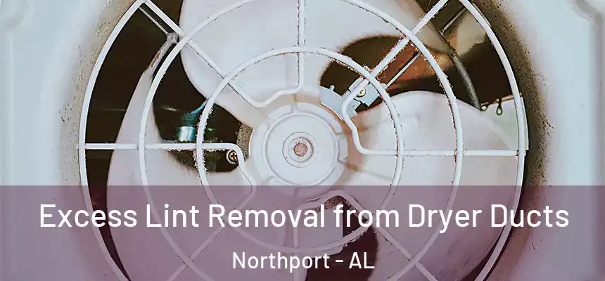  Excess Lint Removal from Dryer Ducts Northport - AL