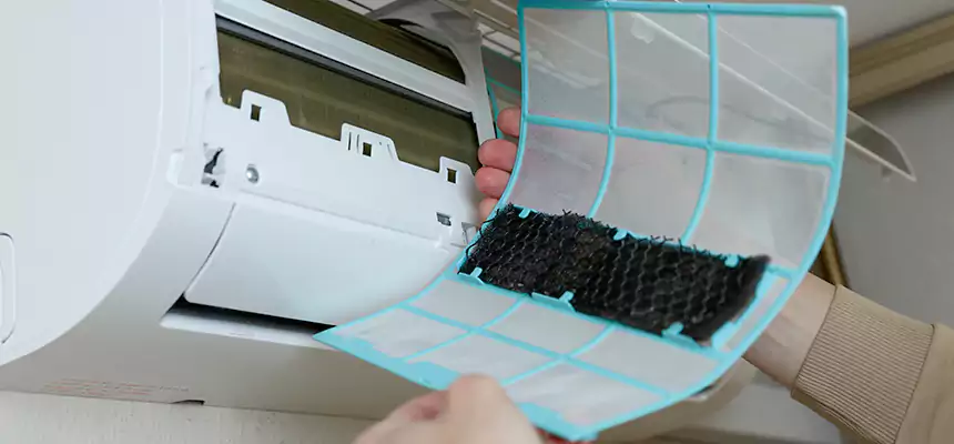 Gentle Ductwork Odor-Control Pet Dander Duct Cleaning in Northport, AL