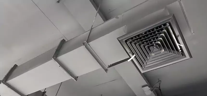 Our Rodent Droppings In Vents Services in Northport, AL