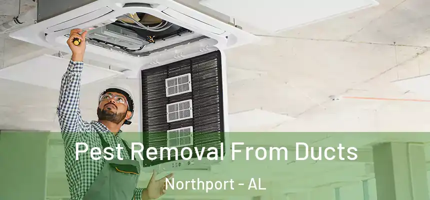  Pest Removal From Ducts Northport - AL