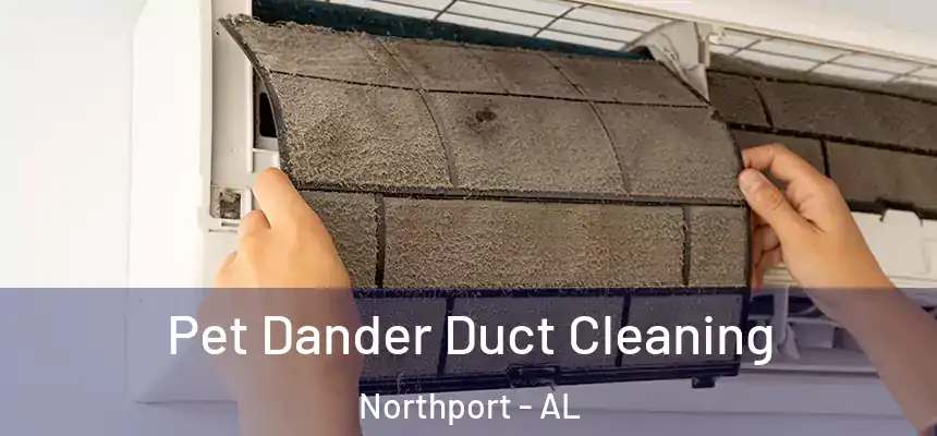  Pet Dander Duct Cleaning Northport - AL