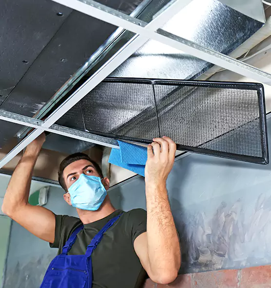 About Air Duct Bacteria Removal in Northport