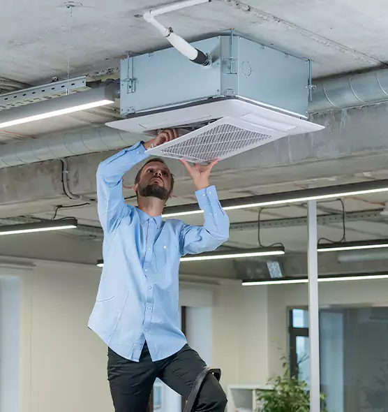 Advanced Rodent Droppings In Vents in Northport, AL