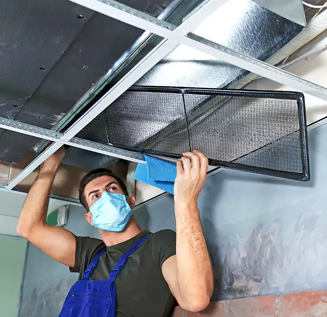 Why Homeowners Businesses Trust Us in Northport, AL